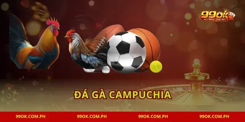 Đá Gà Campuchia 99OK Trực Tiếp Thomo Siêu Sắc Nét