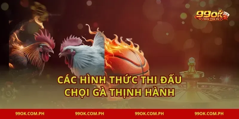 Các hình thức thi đấu chọi gà thịnh hành