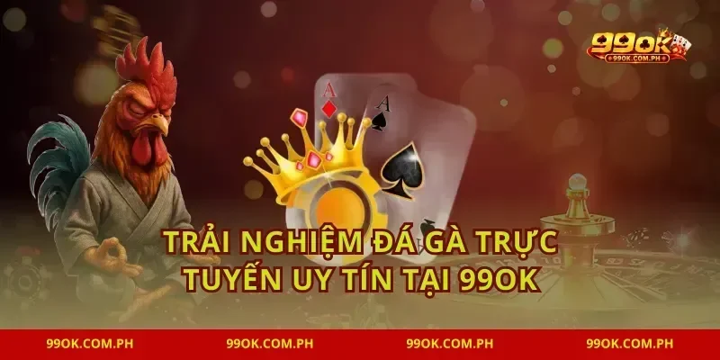 Trải nghiệm đá gà trực tuyến uy tín tại 99OK